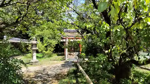 梅宮大社(京都府)