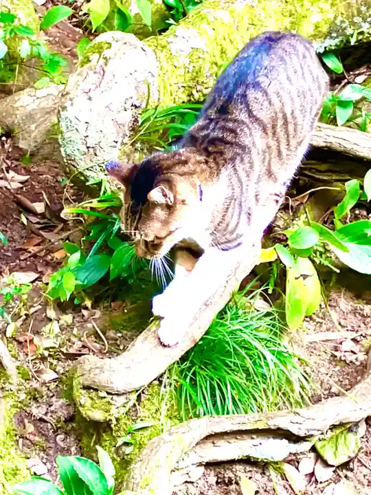 椎尾山薬王院(茨城県)