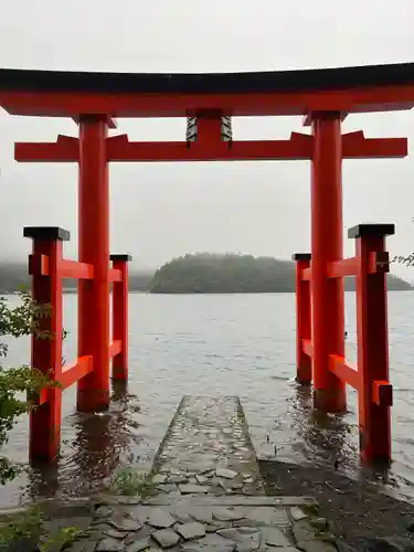 箱根神社の鳥居