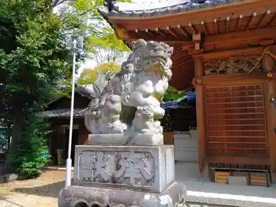 八幡神社（本町八幡神社）の狛犬
