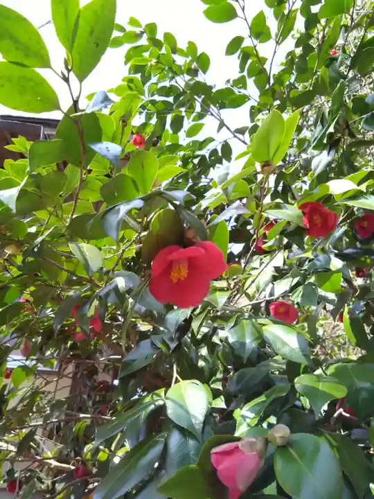 八大龍王水神(宮崎県)