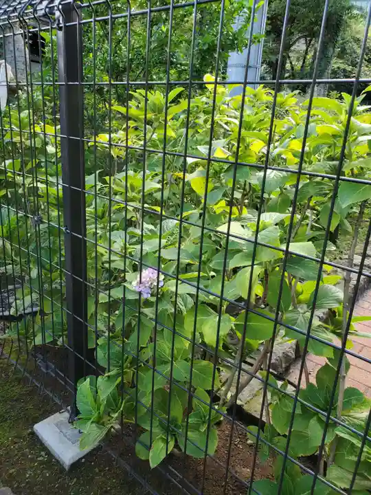 白山神社の庭園