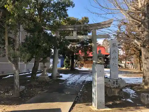 琴平神社の鳥居