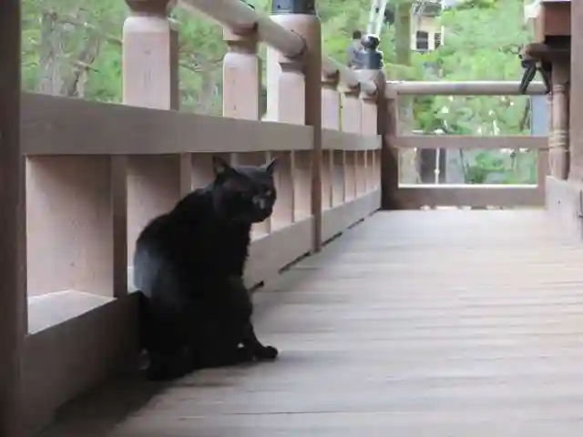 智恩寺(京都府)