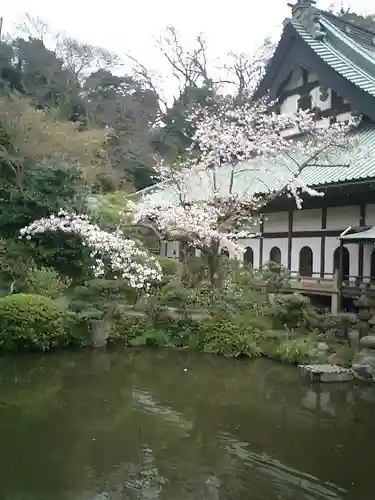 光明寺の庭園