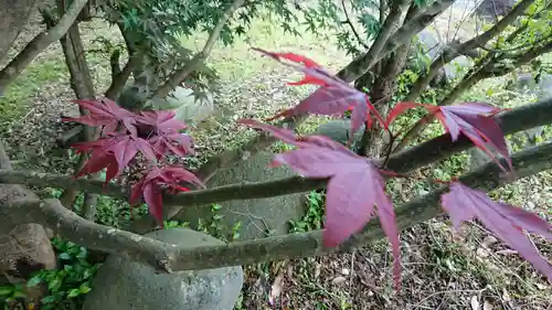金刀比羅神社（琴平神社）(静岡県)