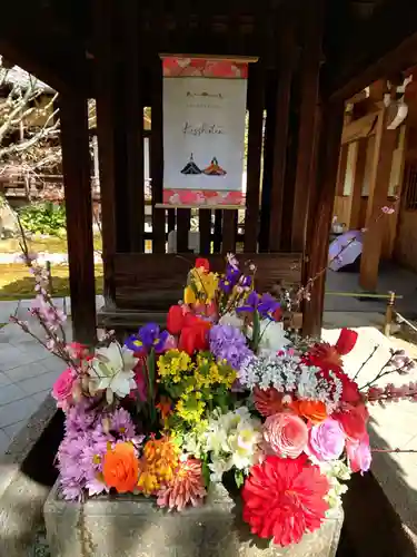 勝林寺(京都府)