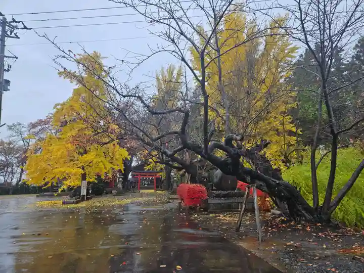 弘前天満宮(青森県)