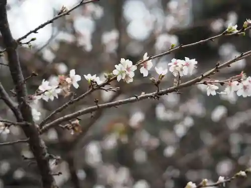 久遠寺(山梨県)
