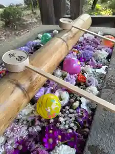 群馬県護国神社(群馬県)(2025年05月01日(木) 17時17分42秒投稿)