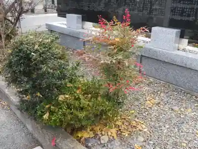 浄土宗善立寺の自然