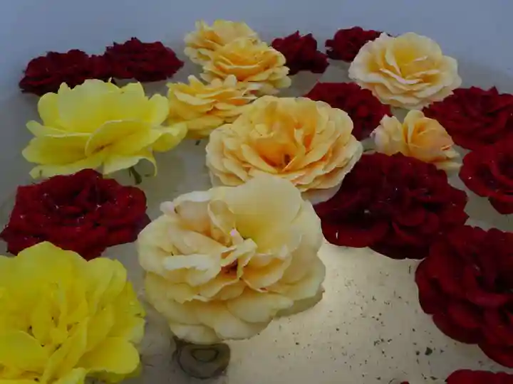 天王山 安楽寺のその他建物