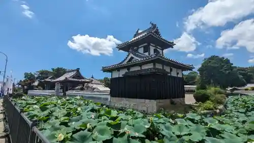 雲龍山 本證寺(愛知県)
