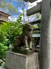 白雲神社の狛犬