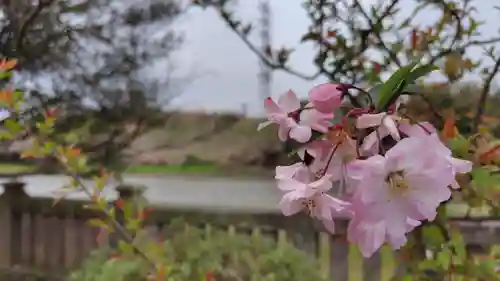 武蔵第六天神社(埼玉県)