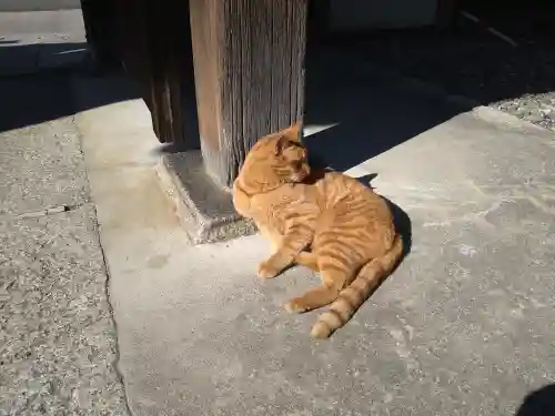 養源院(京都府)