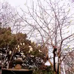 彌彦神社　(伊夜日子神社)(北海道)