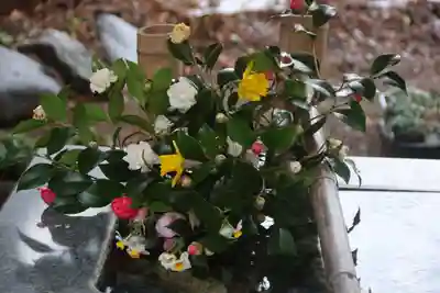 高司神社〜むすびの神の鎮まる社〜の手水舎