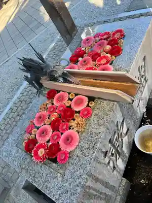 川越八幡宮(埼玉県)