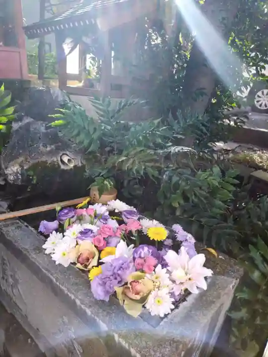 本郷氷川神社(東京都)