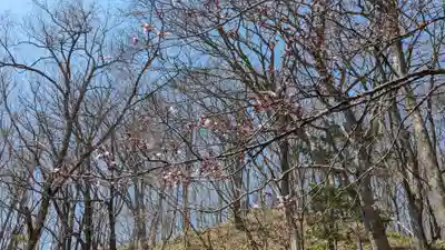 別保神社の自然
