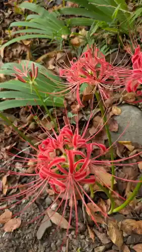 平野神社(京都府)