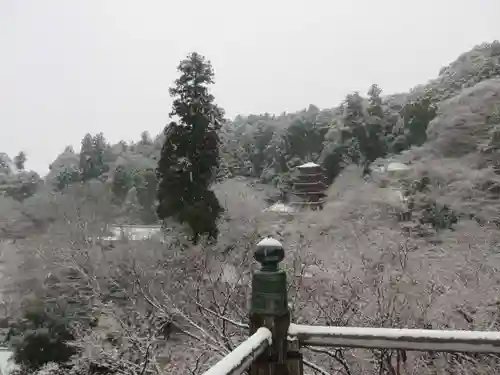 長谷寺(奈良県)
