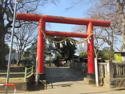 本太氷川神社(埼玉県)