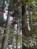 大宮温泉神社(栃木県)