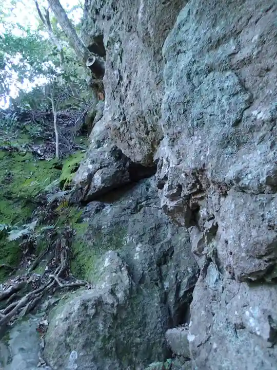 韓竈神社の自然