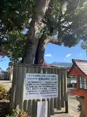 宝来山神社(和歌山県)