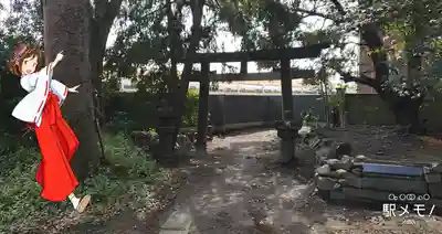 葛西神社の鳥居