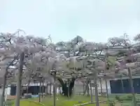 竹鼻別院(岐阜県)