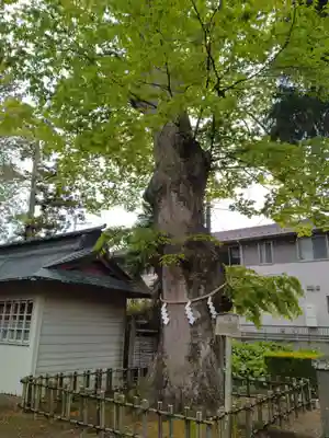 竹駒神社(宮城県)