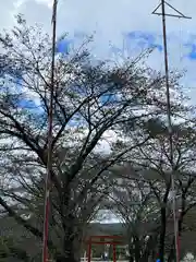 子檀嶺神社(長野県)