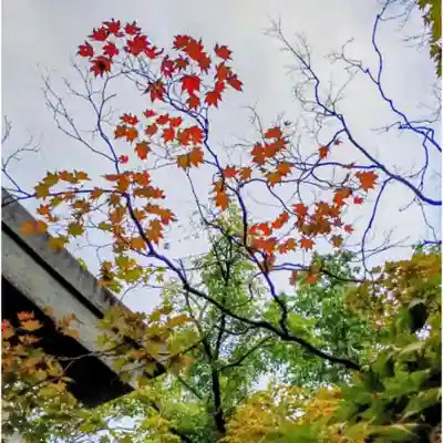 彌彦神社 (伊夜日子神社)(北海道)