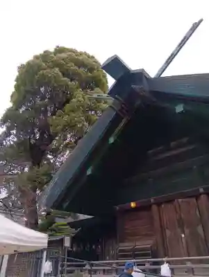 所澤神明社(埼玉県)