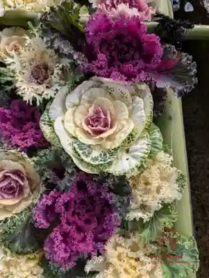 立志神社(滋賀県)