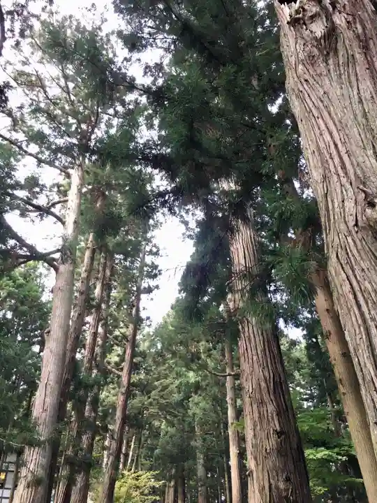 中尊寺本堂の自然