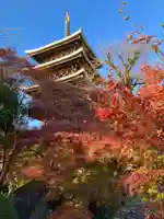 伝乗寺(東京都)