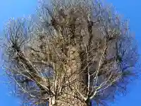 神明社の{uncategorized: "未分類", other: "その他", undefined: "問題あり", building: "その他建物", grave: "お墓", sacred_gate: "鳥居", guardian: "狛犬", statue: "像", buddha: "仏像", history: "歴史", nature: "自然", garden: "庭園", animal: "動物", pagoda: "塔", temizu: "手水舎", mountain_gate: "山門・神門", sanctuary: "本殿・本堂", subordinate: "末社・摂社", art: "芸術", scenery: "景色", jizo: "地蔵", ema: "絵馬", goshuin: "御朱印", omikuji: "おみくじ", items: "授与品その他", amulet: "お守り", goshuincho: "御朱印帳", eats: "食事", festival: "お祭り", votive_dance: "神楽", shichigosan: "七五三参", wedding: "結婚式", experience: "体験その他", initially: "初詣", around: "周辺", anti_infection: "感染症対策"}