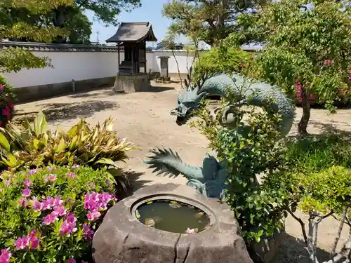 常観寺の手水舎