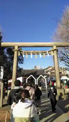 浅草神社の鳥居
