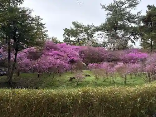 廣田神社の{uncategorized: "未分類", other: "その他", undefined: "問題あり", building: "その他建物", grave: "お墓", sacred_gate: "鳥居", guardian: "狛犬", statue: "像", buddha: "仏像", history: "歴史", nature: "自然", garden: "庭園", animal: "動物", pagoda: "塔", temizu: "手水舎", mountain_gate: "山門・神門", sanctuary: "本殿・本堂", subordinate: "末社・摂社", art: "芸術", scenery: "景色", jizo: "地蔵", ema: "絵馬", goshuin: "御朱印", omikuji: "おみくじ", items: "授与品その他", amulet: "お守り", goshuincho: "御朱印帳", eats: "食事", festival: "お祭り", votive_dance: "神楽", shichigosan: "七五三参", wedding: "結婚式", experience: "体験その他", initially: "初詣", around: "周辺", anti_infection: "感染症対策"}