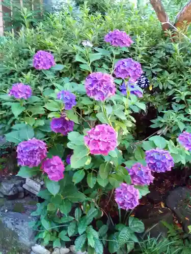 妙心院(宮城県)