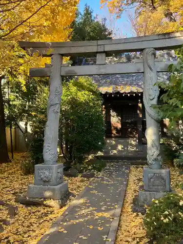 高円寺(東京都)