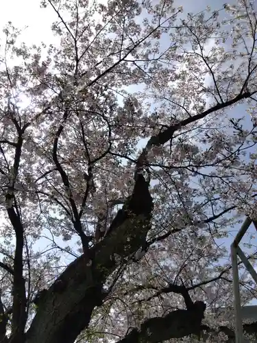 世直神社(福井県)