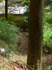 賀蘇山神社の自然