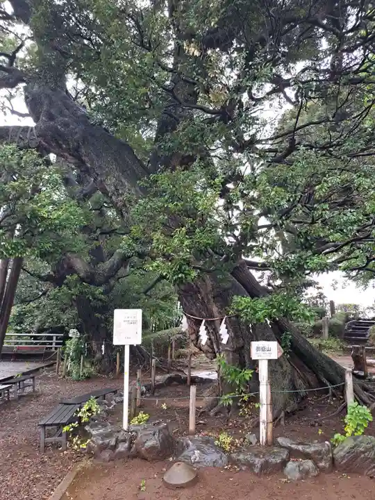 九重神社(埼玉県)