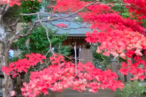 大山阿夫利神社(神奈川県)